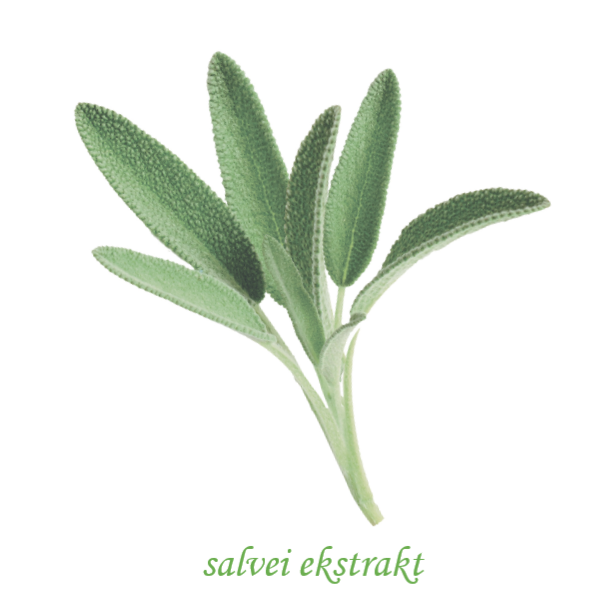 Salvei ekstrakt