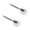 Silver Titanium Ball hõbetitaan pall 5mm - Image 2