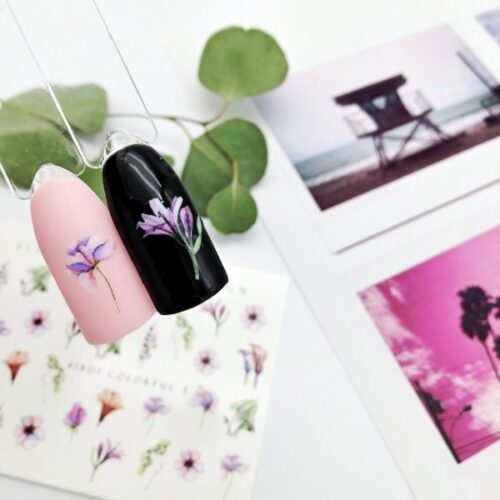 IBDI slider Colorful 003 - Image 3