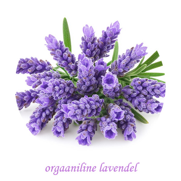 Orgaaniline lavendel