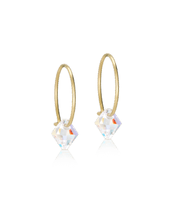 Blomdahl kõrvarõngad Golden Titanium Bicone Rainbow 6mm/14mm